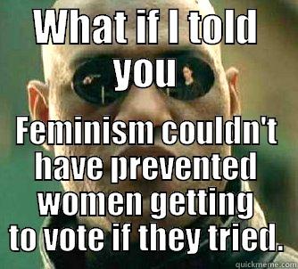 WHAT IF I TOLD YOU FEMINISM COULDN'T HAVE PREVENTED WOMEN GETTING TO VOTE IF THEY TRIED. Matrix Morpheus