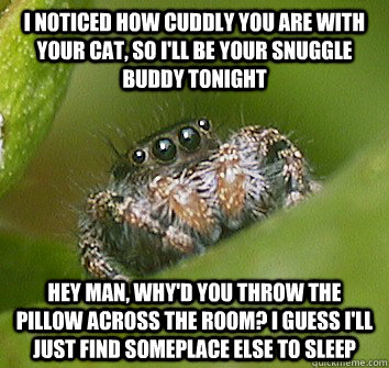 I noticed how cuddly you are with your cat, so I'll be your snuggle buddy tonight Hey man, why'd you throw the pillow across the room? I guess I'll just find someplace else to sleep  Misunderstood Spider