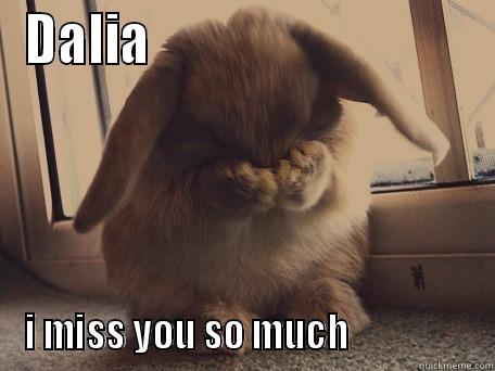 DALIA                                I MISS YOU SO MUCH                 Misc