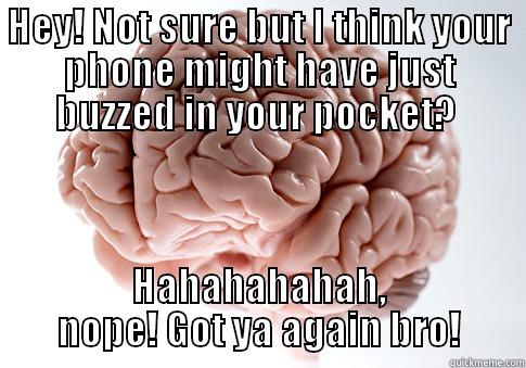 HEY! NOT SURE BUT I THINK YOUR PHONE MIGHT HAVE JUST BUZZED IN YOUR POCKET?  HAHAHAHAHAH, NOPE! GOT YA AGAIN BRO! Scumbag Brain