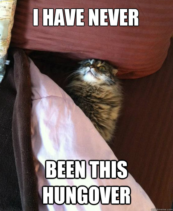 I HAVE NEVER Been this HUngover  Bed Cat