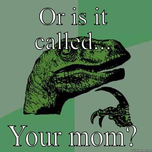 OR IS IT CALLED... YOUR MOM? Philosoraptor