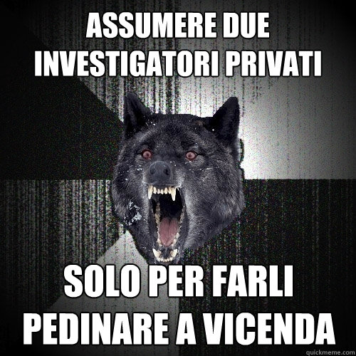 assumere due investigatori privati solo per farli pedinare a vicenda  Insanity Wolf