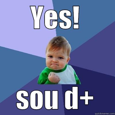 YES! SOU D+ Success Kid