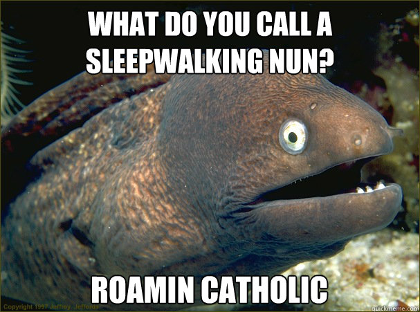 What do you call a sleepwalking nun? roamin catholic  Bad Joke Eel