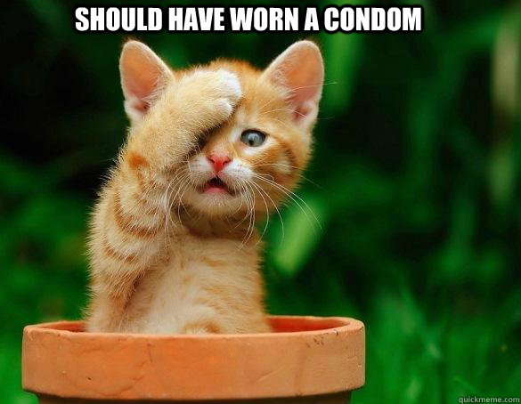 should have worn a condom  careless cat