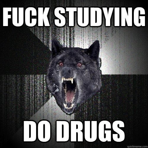 fuck studying do drugs  Insanity Wolf