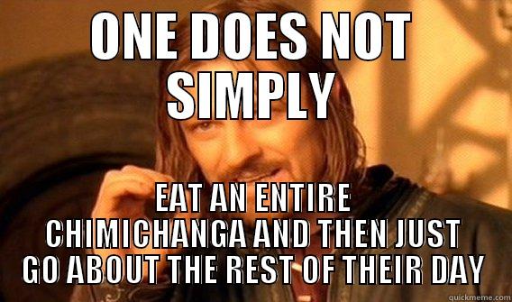 ONE DOES NOT SIMPLY EAT AN ENTIRE CHIMICHANGA AND THEN JUST GO ABOUT THE REST OF THEIR DAY One Does Not Simply