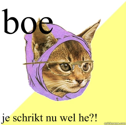 boe je schrikt nu wel he?!  Hipster Kitty