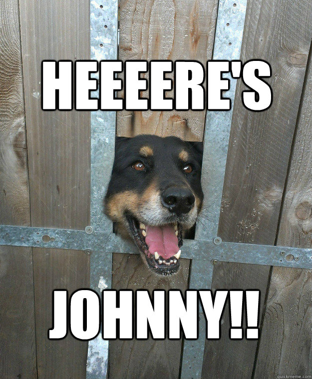 heeeere's johnny!! - heeeere's johnny!!  Shining Dog