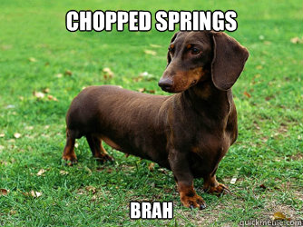 Chopped Springs Brah  Downlow Dachshund