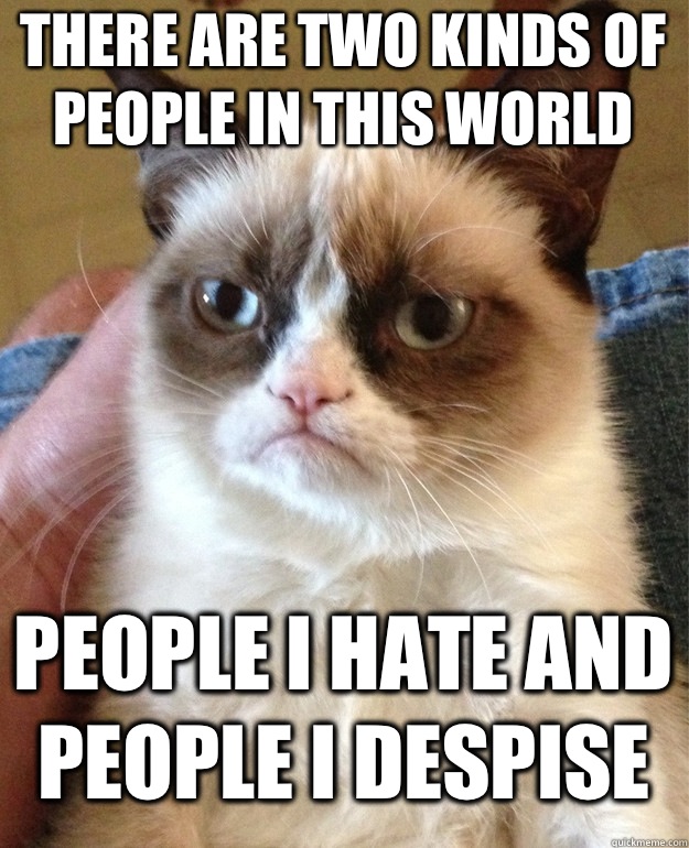 there are two kinds of people in this world People I hate and people I despise    Grumpy Cat