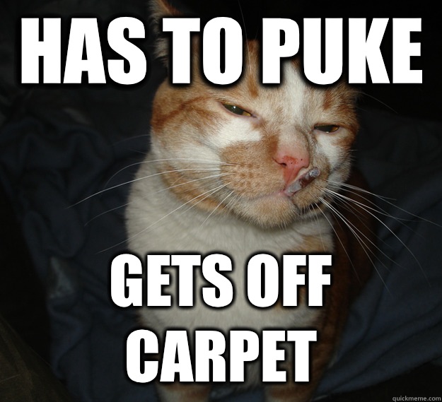Has to puke Gets off carpet  Cool Cat Craig