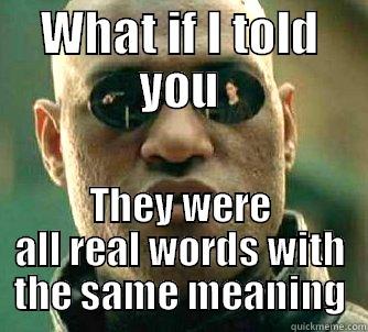 WHAT IF I TOLD YOU THEY WERE ALL REAL WORDS WITH THE SAME MEANING Matrix Morpheus