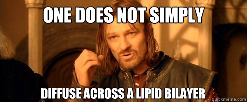 One does not simply diffuse across a lipid bilayer - One does not simply diffuse across a lipid bilayer  One Does Not Simply