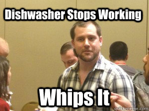 Dishwasher Stops Working Whips It - Dishwasher Stops Working Whips It  Racist Terry