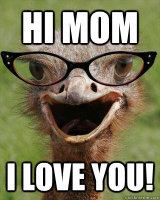 HI MOM I LOVE YOU!  Judgmental Bookseller Ostrich