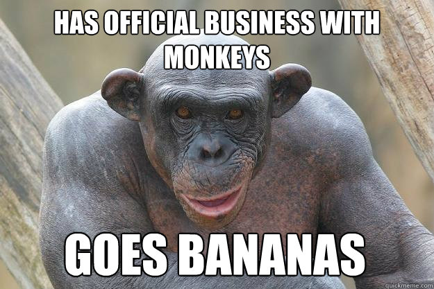 Has official business with monkeys goes bananas  The Most Interesting Chimp In The World
