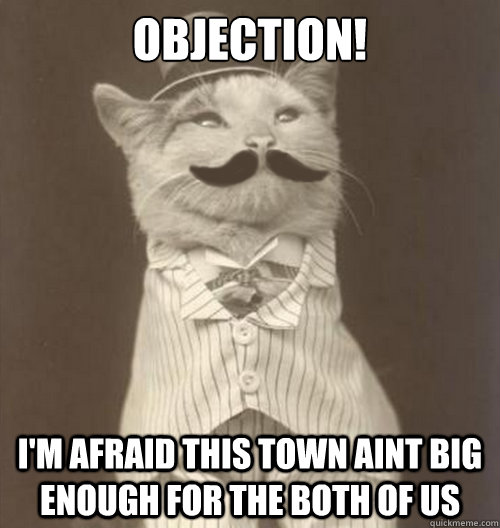 Objection! I'm afraid this town aint big enough for the both of us - Objection! I'm afraid this town aint big enough for the both of us  Original Business Cat