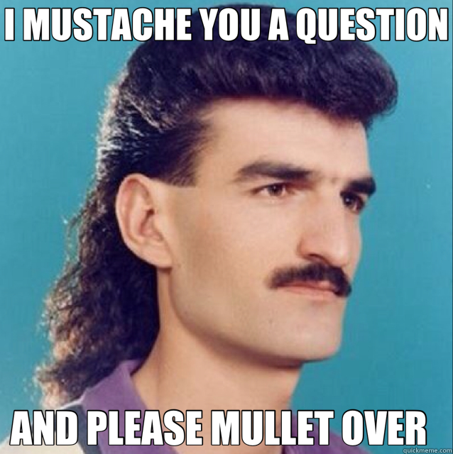 I MUSTACHE YOU A QUESTION AND PLEASE MULLET OVER   - I MUSTACHE YOU A QUESTION AND PLEASE MULLET OVER    I mustache you a question