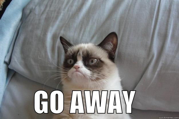  GO AWAY  Grumpy Cat