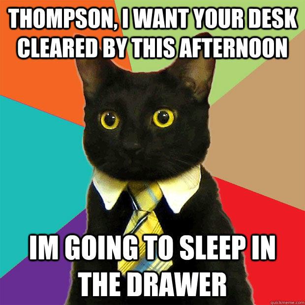 Thompson, I want your desk cleared by this afternoon Im going to sleep in the drawer  Business Cat