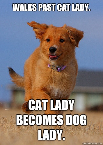 Walks past cat lady. Cat lady becomes dog lady.  Ridiculously Photogenic Puppy
