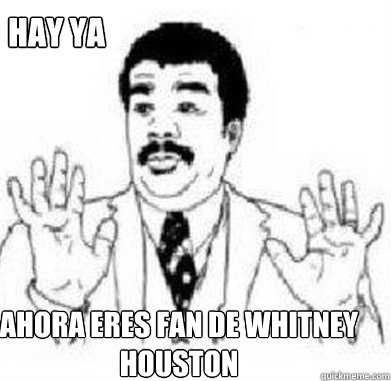 Hay ya ahora eres fan de Whitney Houston  