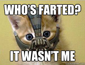 Who’s farted? it wasn’t me  