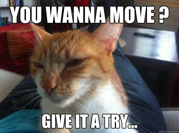 You wanna move ?  Give it a try...  - You wanna move ?  Give it a try...   Menacing cat