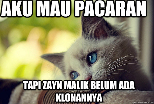 aku mau pacaran tapi zayn malik belum ada klonannya   First World Problems Cat