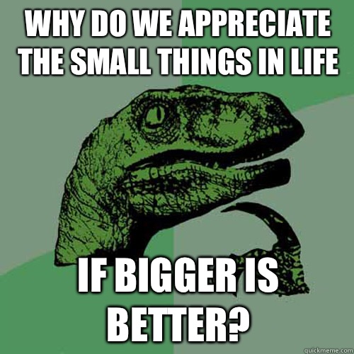 Why do we appreciate the small things in life If bigger is better? - Why do we appreciate the small things in life If bigger is better?  Philosoraptor