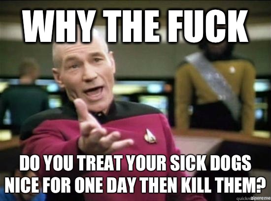 Why the fuck Do you treat your sick dogs nice for one day then kill them?  Annoyed Picard HD