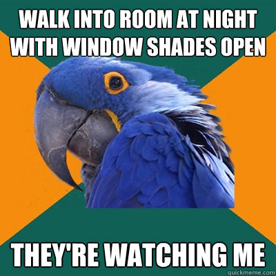 walk into room at night with window shades open they're watching me  Paranoid Parrot
