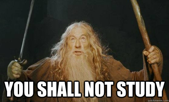  YOU shall not study  Gandalf