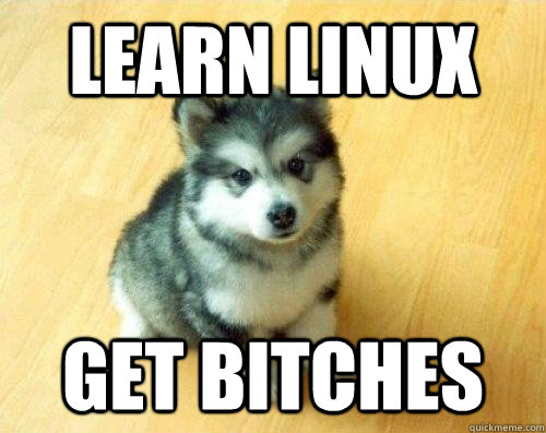 Learn linux get bitches  Baby Courage Wolf