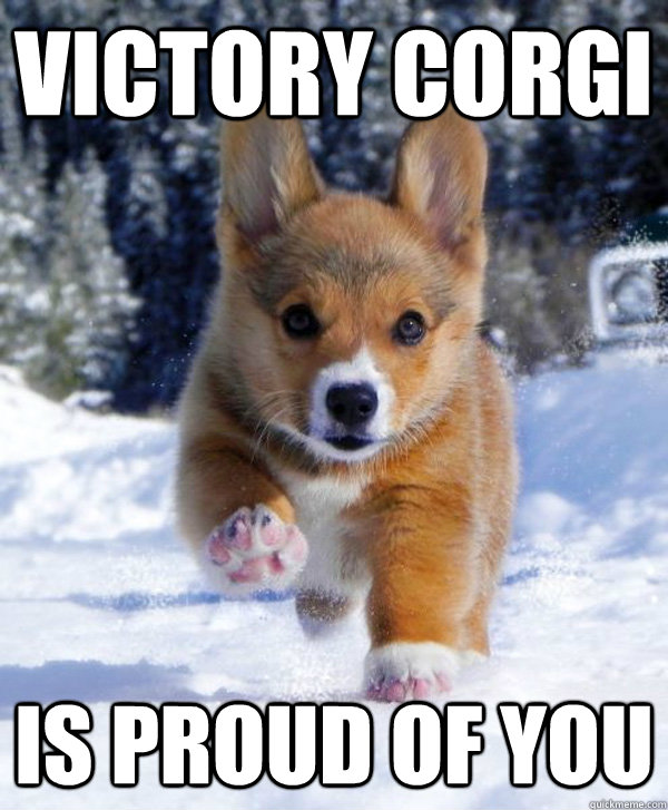 Victory corgi is proud of you  