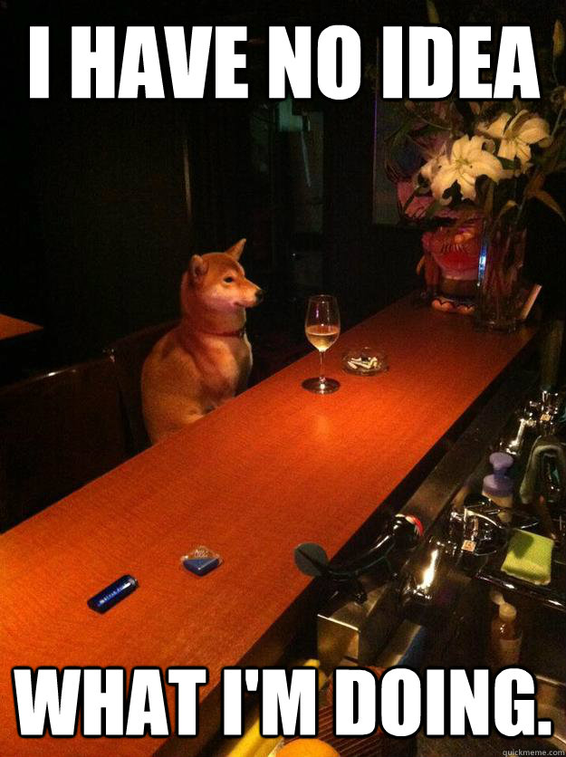 I have no idea what I'm doing. - I have no idea what I'm doing.  Bar Dog