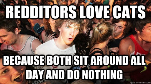 Redditors love cats because both sit around all day and do nothing  Sudden Clarity Clarence