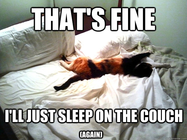 That's fine I'll just sleep on the couch (again) - That's fine I'll just sleep on the couch (again)  Misc