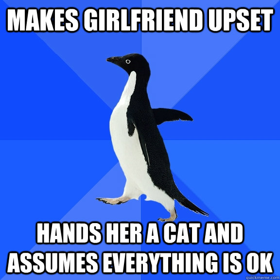 Makes girlfriend upset Hands her a cat and assumes everything is ok  Socially Awkward Penguin