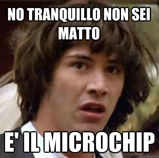 No tranquillo non sei matto E' il microchip  conspiracy keanu