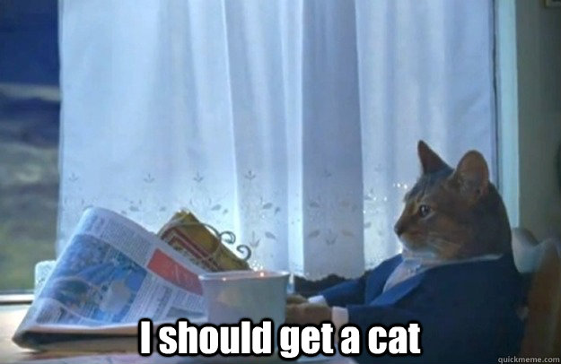  I should get a cat  Sophisticated Cat
