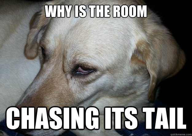 Why is the room chasing its tail  