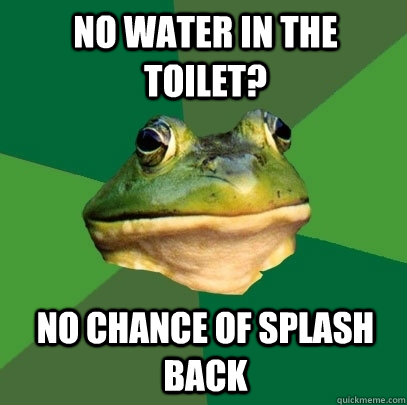 No water in the toilet? No chance of splash back  Foul Bachelor Frog