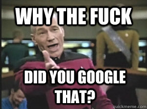 WHY THE FUCK DID YOU GOOGLE THAT? - WHY THE FUCK DID YOU GOOGLE THAT?  Annoyed Picard