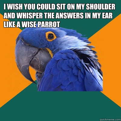 I wish you could sit on my shoulder and whisper the answers in my ear like a wise parrot  Paranoid Parrot