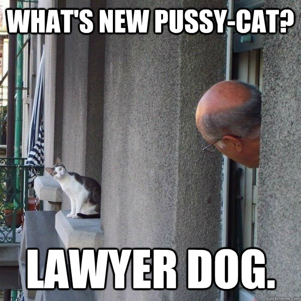 What's new pussy-cat? Lawyer Dog.  