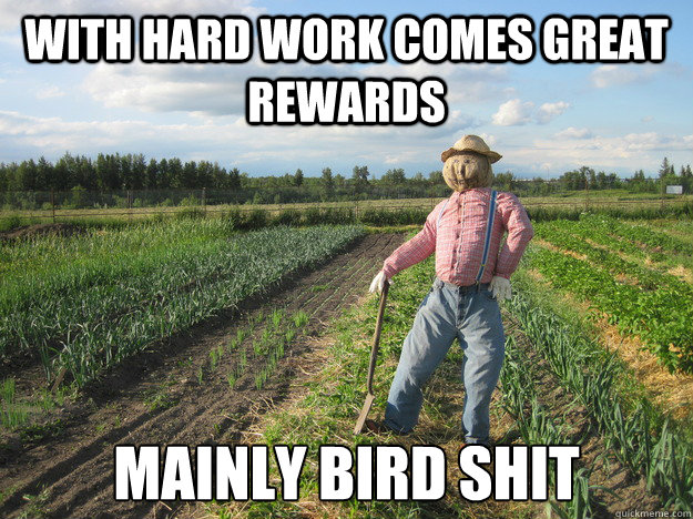 with hard work comes great rewards mainly bird shit - with hard work comes great rewards mainly bird shit  Scarecrow