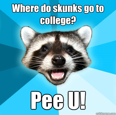 Where do skunks go to college? Pee U!  Lame Pun Coon
